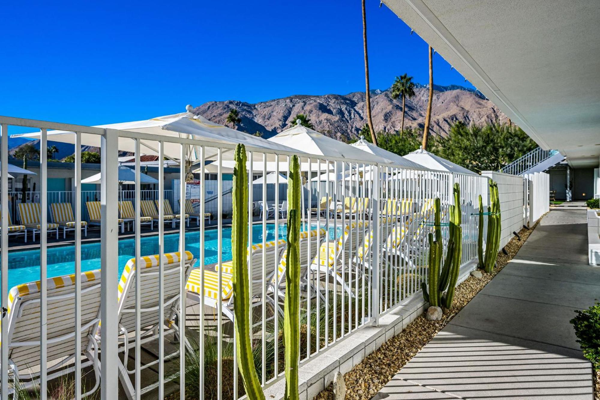 The Skylark, A Palm Springs Hotel Eksteriør billede